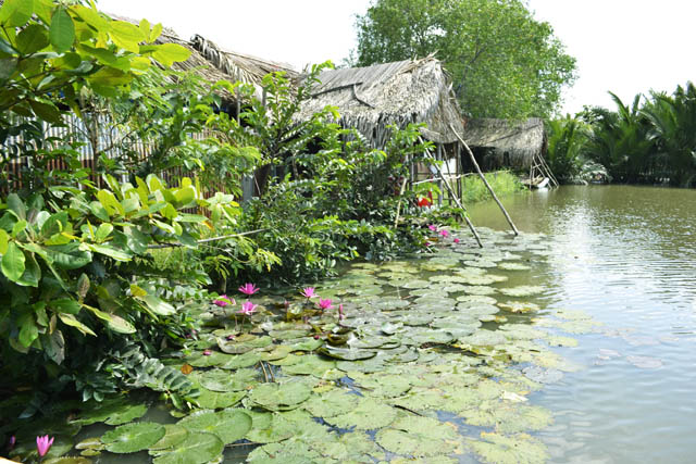 Câu Cá Giải Trí Hoài Thương - Địa chỉ câu cá giải trí tại Quận Bình Chánh - Sài Gòn