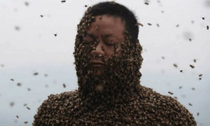 Sởn da gà với màn trình diễn để 46 vạn con ong bu khắp người