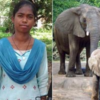 Kỳ lạ cô bé có khả năng nói chuyện với voi