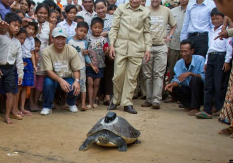 Rùa ‘hoàng gia’ tại Campuchia cõng thiết bị phát sóng