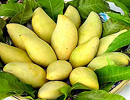 Top 10 'hoa hậu' trái cây của Việt Nam