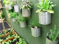 Những cách đơn giản tự tạo vườn mini xinh xắn