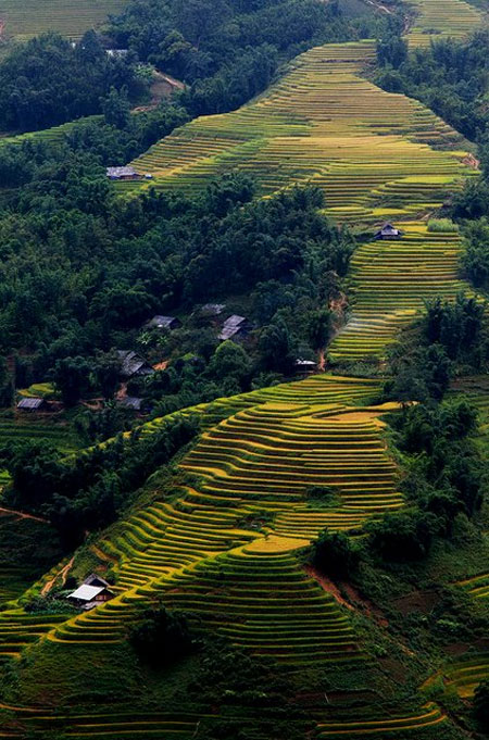 20 khoảnh khắc du lịch đẹp nhất Việt Nam