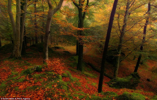 'Nghẹt thở' ngắm mùa thu nước Anh tuyệt đẹp