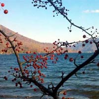 Mộng mơ hồ Nikko