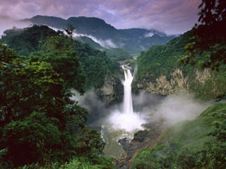 Những khu rừng nhiệt đới tràn đầy sức sống