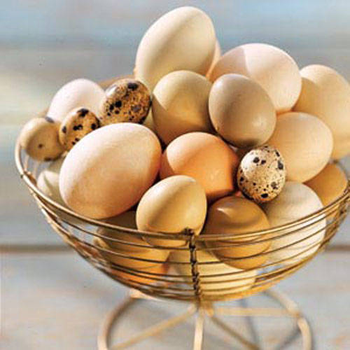 Cách bảo quản trứng gà, trứng vịt ăn dần suốt vài tháng