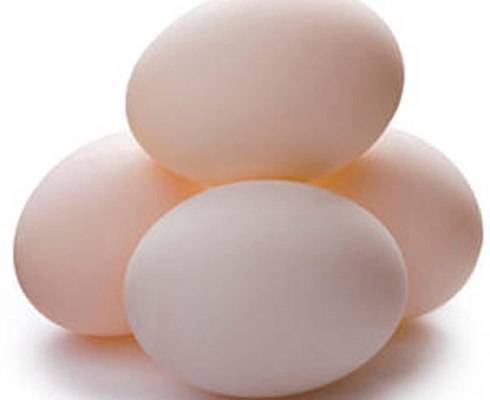 Cách chọn và sử dụng trứng