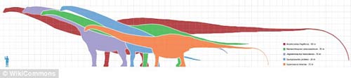 Phát hiện hóa thạch khủng long cao bằng tòa nhà 7 tầng