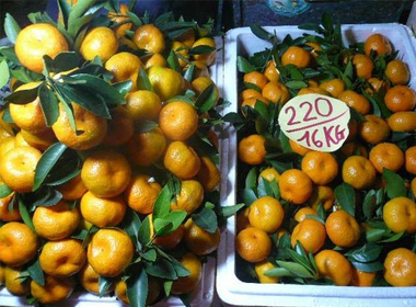 Gần 300 tấn trái cây Trung Quốc dính độc 'lạc' vào Việt Nam