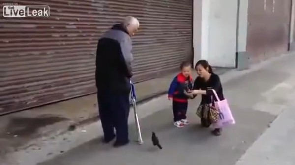 Cụ ông người Hồng Kông có thể ung dung dẫn chú chim cưng đi dạo phố mà không cần phải giữ chân nó lại.