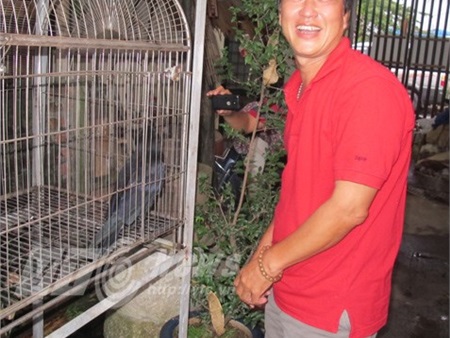 Chuyện lạ Việt Nam: Những con quạ ‘thành tinh’ biết nói tiếng người