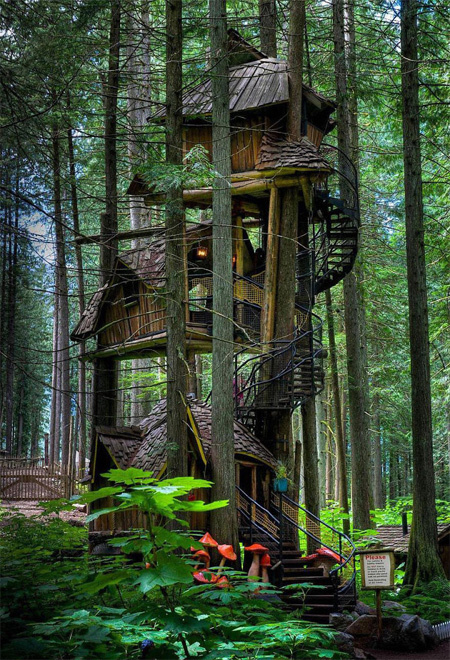 Những ngôi nhà mơ mộng trên cây
