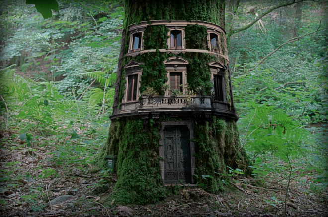 Những ngôi nhà mơ mộng trên cây