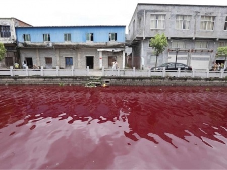 Kinh hoàng: Nước sông bất ngờ chuyển sang màu máu người