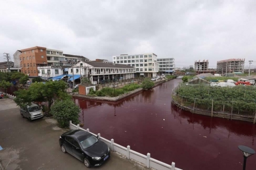 Kinh hoàng: Nước sông bất ngờ chuyển sang màu máu người