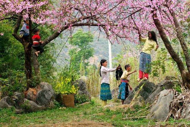 Con đường hoa tuyệt đẹp ở Việt Nam