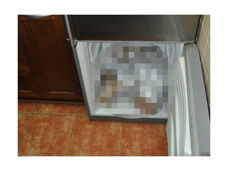 Bố mẹ nhốt đứa con tàn tật vào tủ lạnh cho đến chết