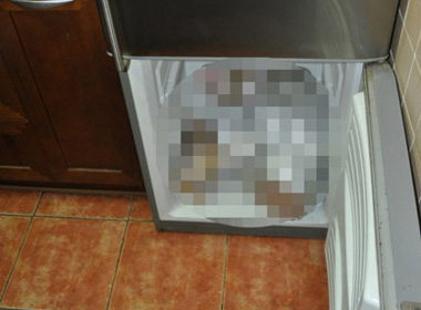 Bố mẹ nhốt đứa con tàn tật vào tủ lạnh cho đến chết