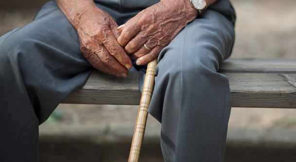 Quế ngăn chặn bệnh Parkinson tiến triển