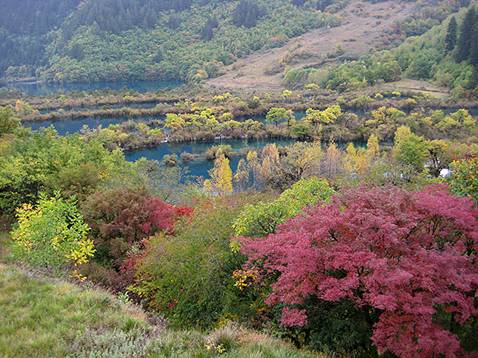 Thung lũng Jiuzhaigou tươi đẹp
