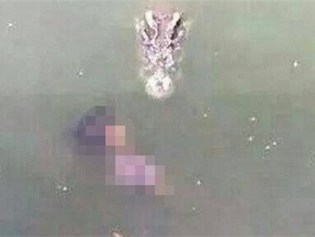 Kinh hãi người phụ nữ tự tử bằng cách cho 1.000 con cá sấu xẻ thịt