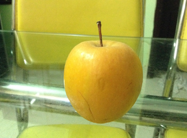 Bộ trưởng Nông nghiệp yêu cầu làm rõ tin quả táo để 9 tháng không hỏng