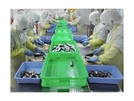 Công nhân bỏ thuốc chuột vào hàng xuất khẩu khiến doanh nghiệp lao đao