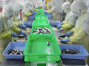 Công nhân bỏ thuốc chuột vào hàng xuất khẩu khiến doanh nghiệp lao đao