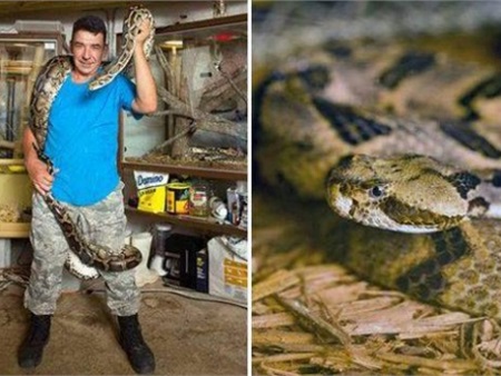 Người đàn ông sống chung nhà với 60 con rắn độc