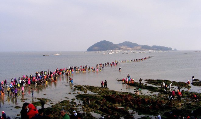 Kinh ngạc xem vùng biển Hàn Quốc tách đôi trong vài ngày