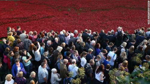Hàng triệu người đến London xem biển hoa anh túc đỏ