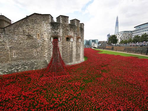 Hàng triệu người đến London xem biển hoa anh túc đỏ