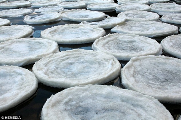 Băng tuyết kết hình chiếc đĩa trên mặt sông