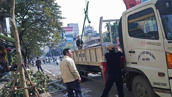 Hà Nội: Xế hộp mất lái đâm đổ cây, gãy trụ đèn giao thông