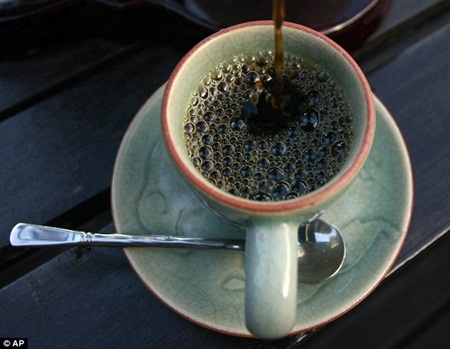 cà phê phân voi giá hàng triệu đồng