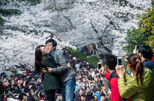 Giới trẻ Trung Quốc 'bấn loạn' trước vẻ đẹp hoa anh đào