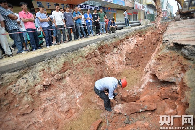 Cảnh đào trứng khủng long trong thành phố ở Trung Quốc