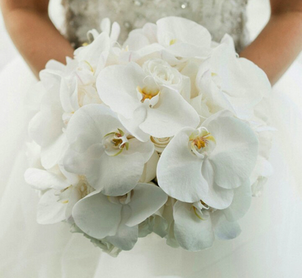 Chọn hoa lan sang trọng cho đám cưới Việt