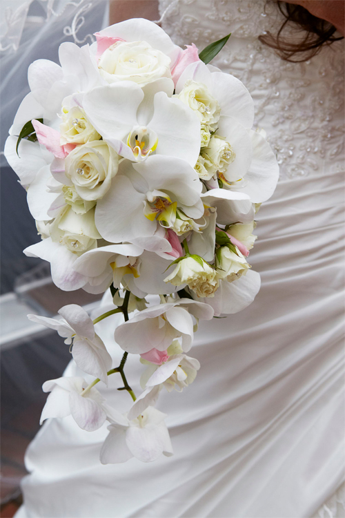 Chọn hoa lan sang trọng cho đám cưới Việt