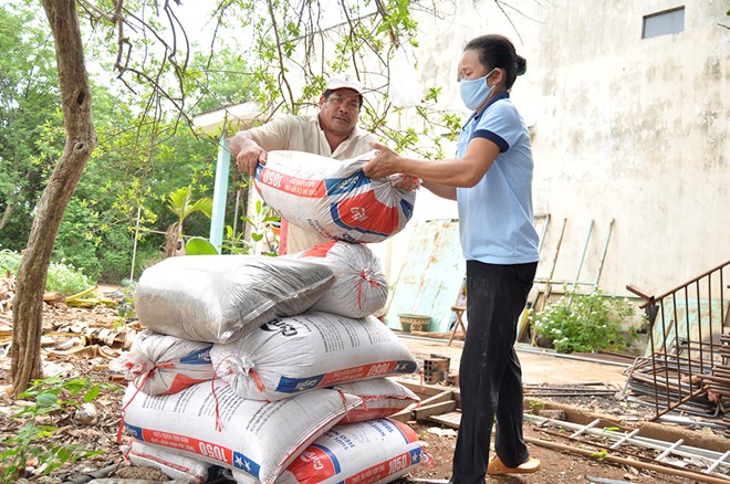 Hàng triệu con bọ đậu đen bay vào nhà dân làm tổ