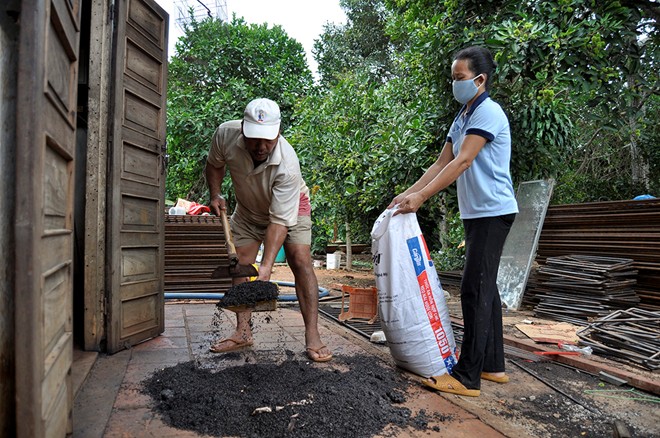 Hàng triệu con bọ đậu đen bay vào nhà dân làm tổ