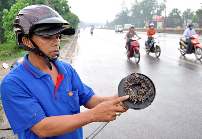 Đinh con thoi dày đặc bẫy xe máy trên quốc lộ 51