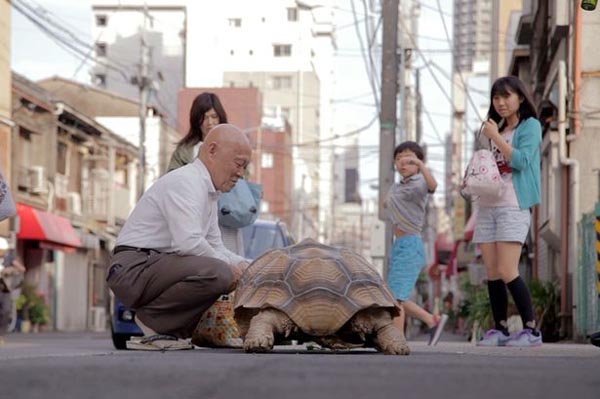 Nổi tiếng vì dắt rùa đi dạo khắp phố