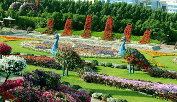 Dubai chơi trội với vườn hoa lớn nhất thế giới ngay giữa sa mạc