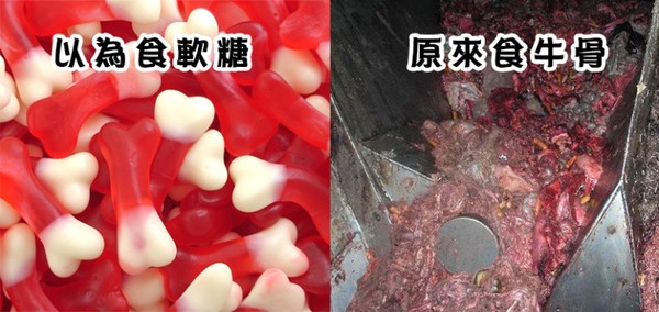 Sự thực khủng khiếp về công nghệ làm kẹo mềm, kẹo chip chip ở Đài Loan