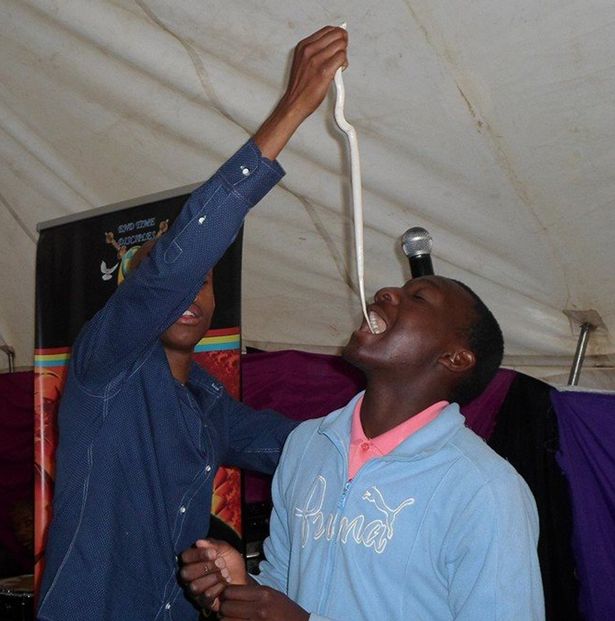 Kinh hãi cảnh người nuốt rắn sống tại Nam Phi do tôn thờ Linh mục