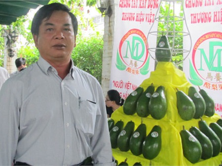 Kiếm tiền tỷ nhờ trồng bơ sáp ở Bình Phước