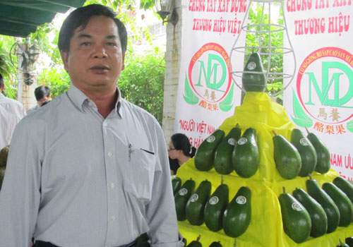 Kiếm tiền tỷ nhờ trồng bơ sáp ở Bình Phước