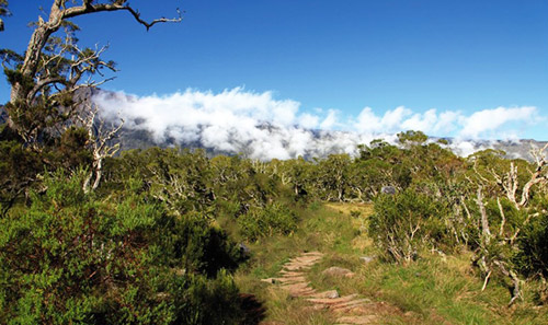 Khám phá đảo Reunion, thiên đường du lịch nước Pháp